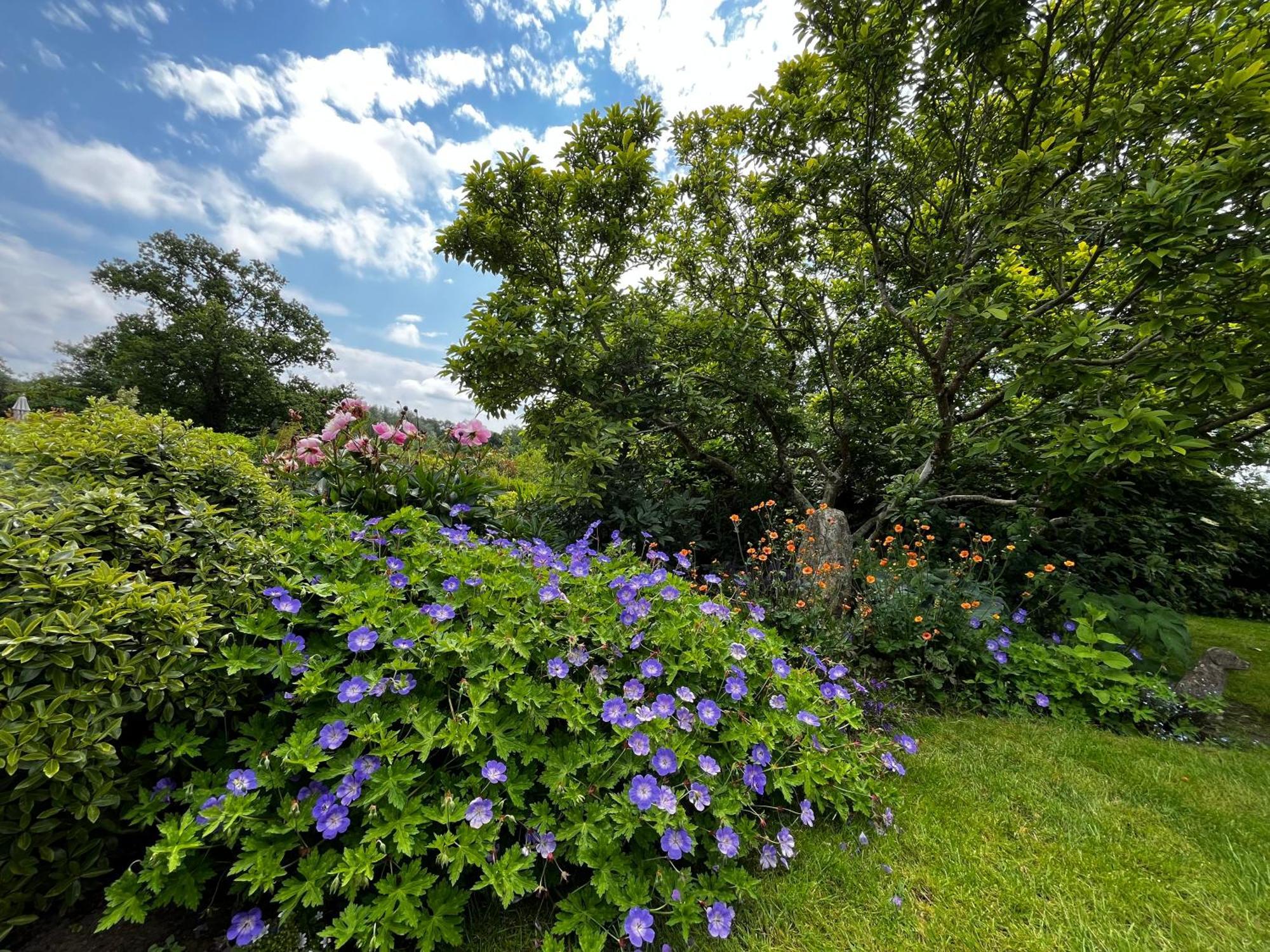 Huntleys Ticehurst