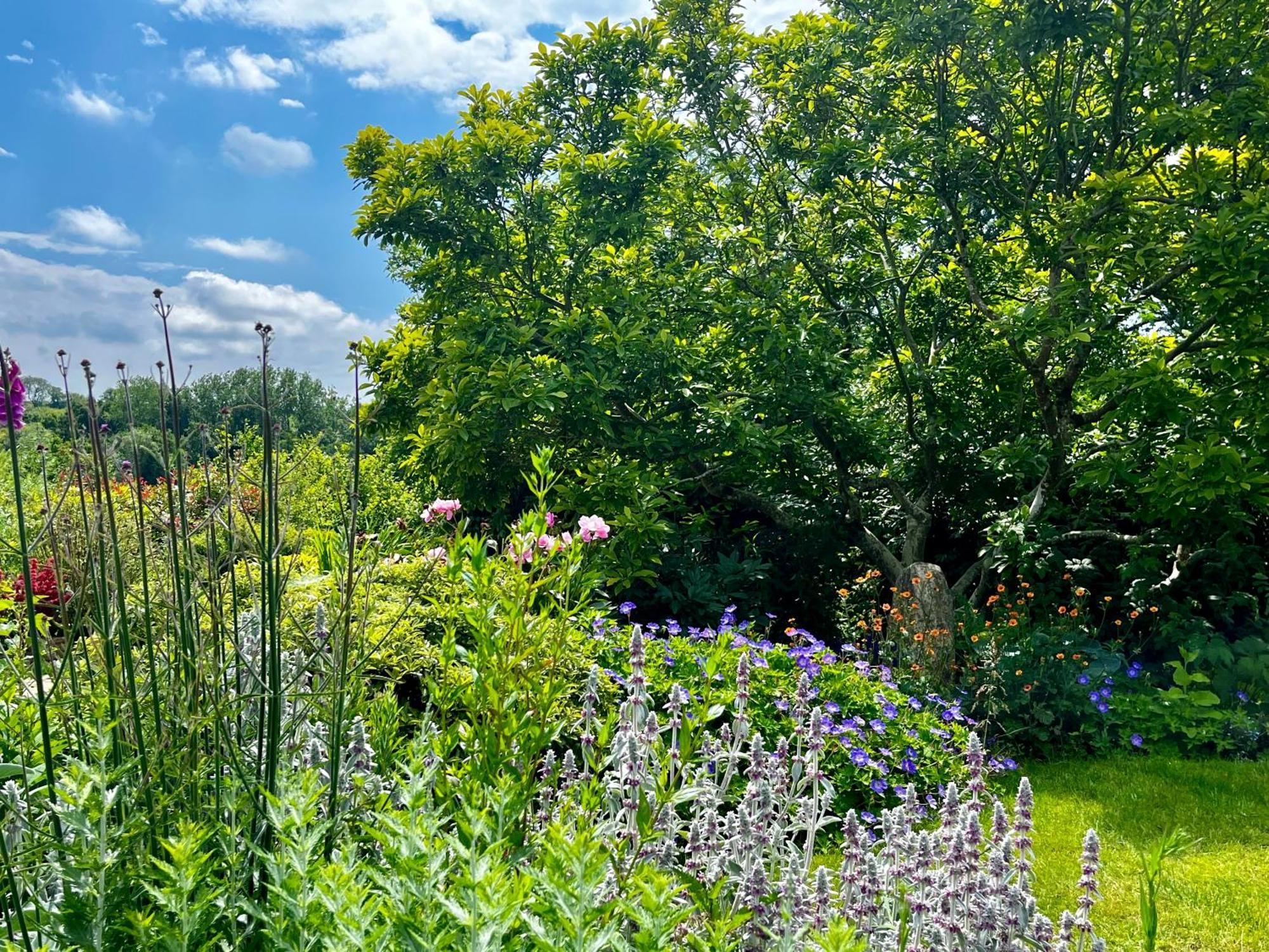 Holiday home Huntleys Ticehurst